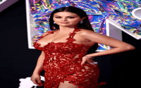 Megan Fox Naked Dress VMAs See Through Outfit Photos