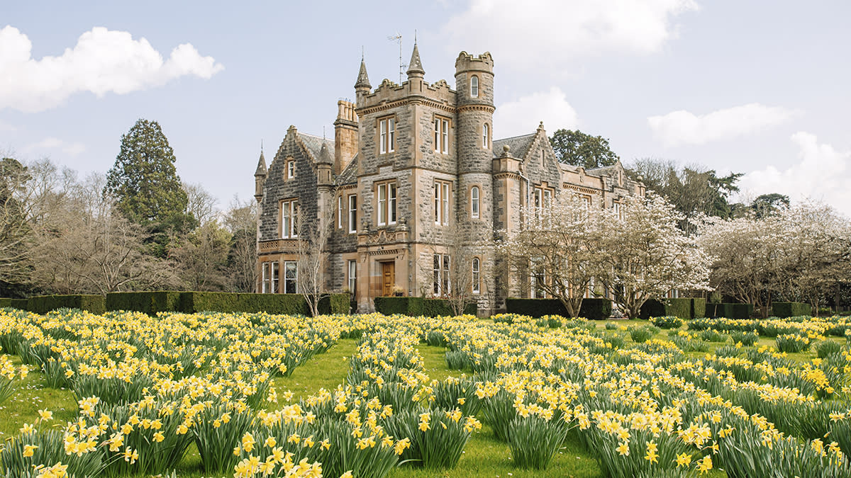 The Castle Sells for 4.5 Million, Shocking the Market!