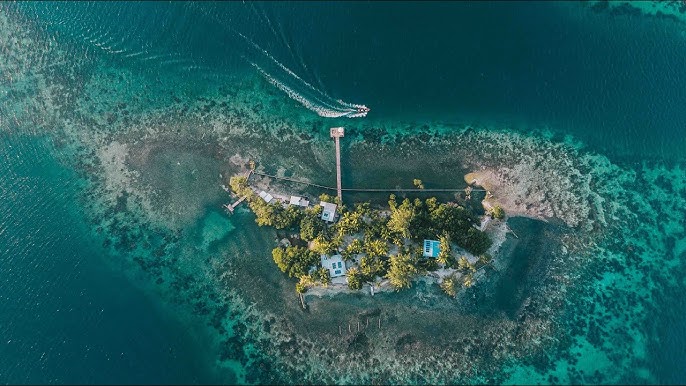 Coppola Island For Sale: How to Buy (Get All the Details on This Exclusive Property)
