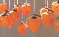 Persimmons Varieties: Which One Is the Sweetest and Tastiest?
