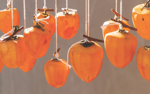 Persimmons Varieties: Which One Is the Sweetest and Tastiest?