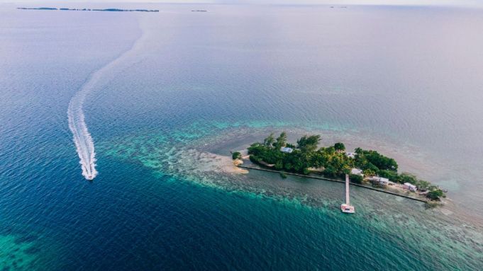 Coppola Island For Sale: How to Buy (Get All the Details on This Exclusive Property)