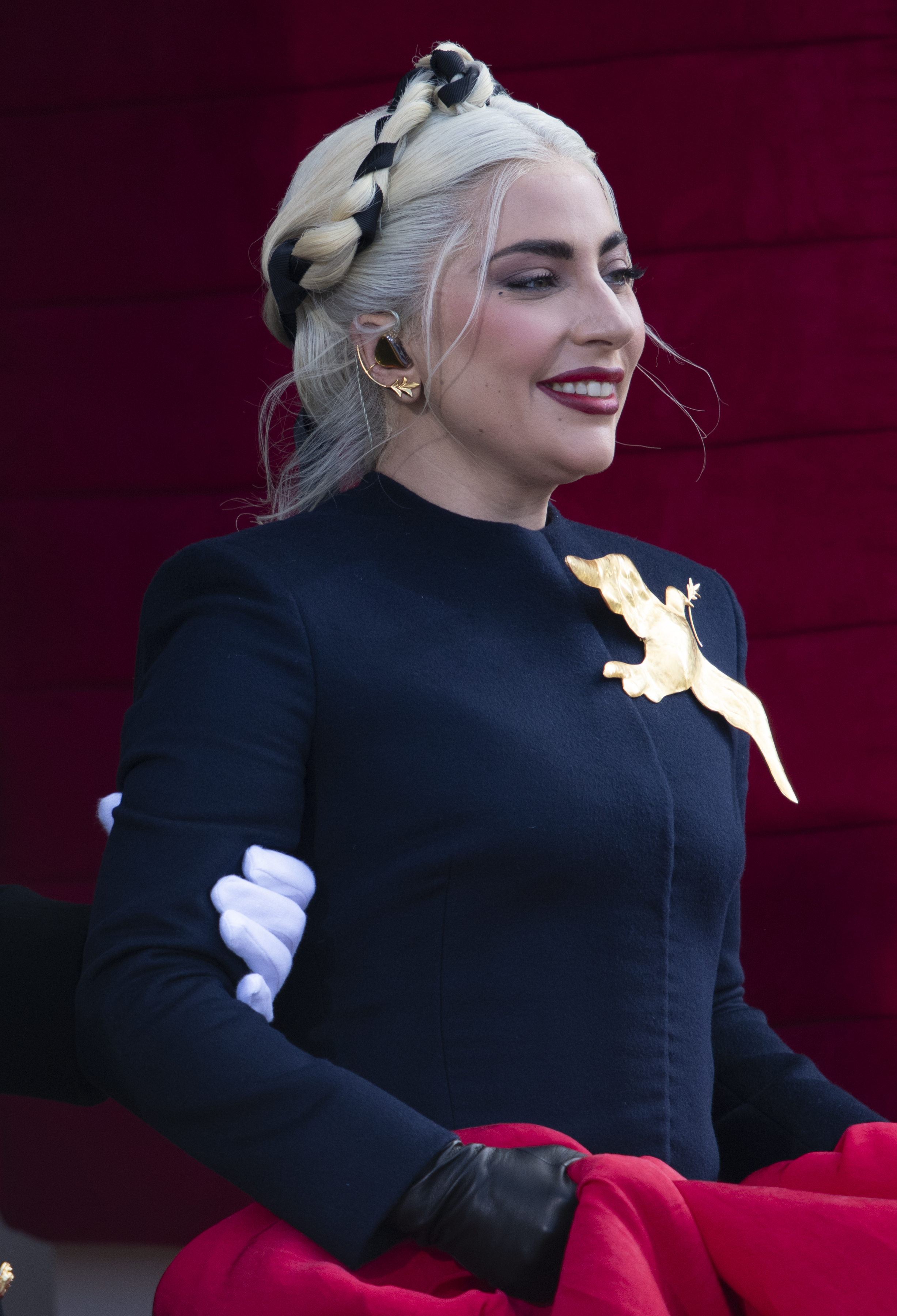Vomiting on Lady Gaga: What Really Happened at the Concert? Find Out Here!