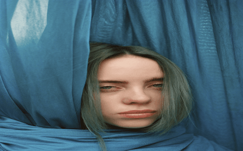 Who is Billie Eilishs Vogue Photographer? Find Out Here!
