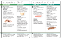 French Women Diet Plan: How to Stay Slim and Healthy?