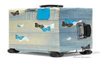 Rimowa Yujna Wang Vimeo: See the beautiful video showcasing Rimowas latest travel collection