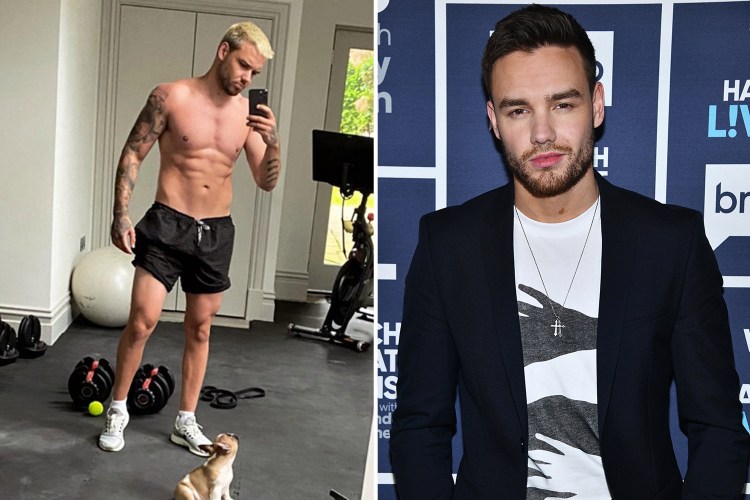 Liam Payne Body Secret: How He Stays in Shape