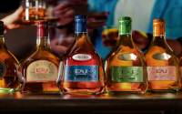 Most Expensive Cognac: Is It Worth the Hype? Discover the Best Bottles for Your Buck!