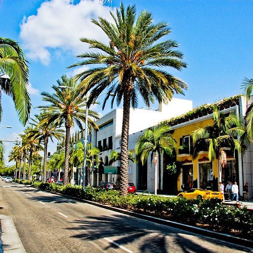 Beverly Blvd Shopping: Best Place to Go for You!