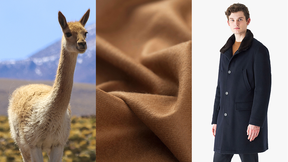 Vicuña wool: why is it so expensive? Find out the top 3 reasons.