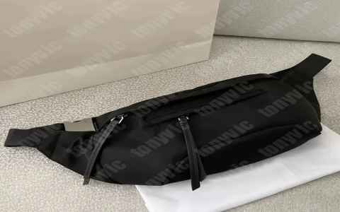Dior Belt Bag Review: Pros and Cons You Need to Know