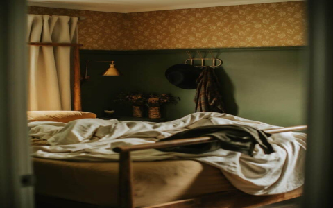 Dark academia bedroom how to get it step by step.