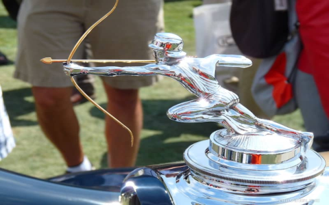 Need a Cormorant Hood Ornament? Heres Your Ultimate Buyers Guide.