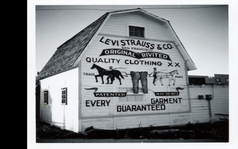 Where does Livies source their denim? Discover the origins of their jeans!