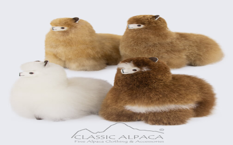 Peruvian Alpaca Clothing: How to Care for It? (Easy Tips to Keep It Soft and Beautiful)