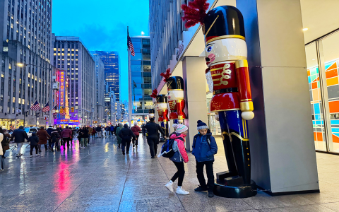Browse Beautiful New York in Winter Pictures for Travel Inspiration!