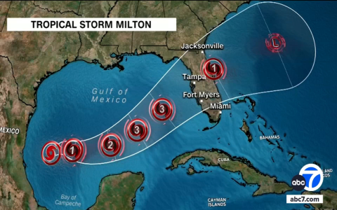 Did Hurricane Helene and Milton Affect Shipping?  See How These Storms Impacted the Seas!