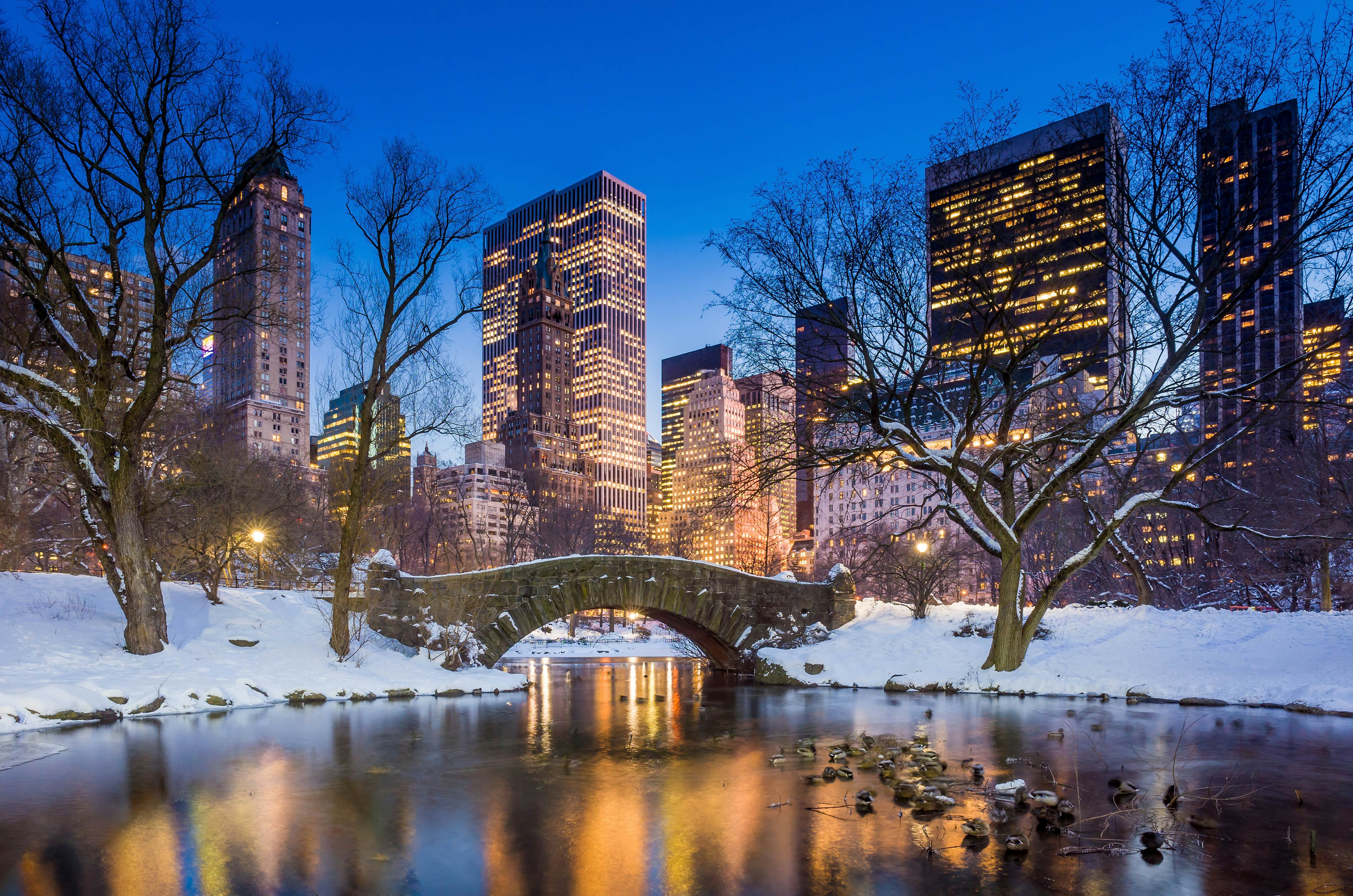 Browse Beautiful New York in Winter Pictures for Travel Inspiration!