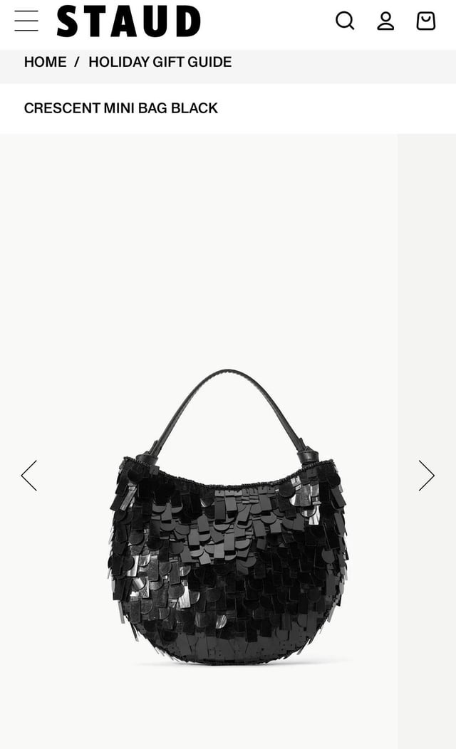 Sequin Purse: How to Rock It? Insider Tips for You!