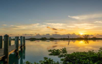 Live it Up on River Oaks Dr: The Ultimate Locals Guide