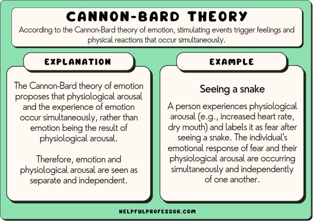 What is James Cannon Theory? Simply Explained for Beginners