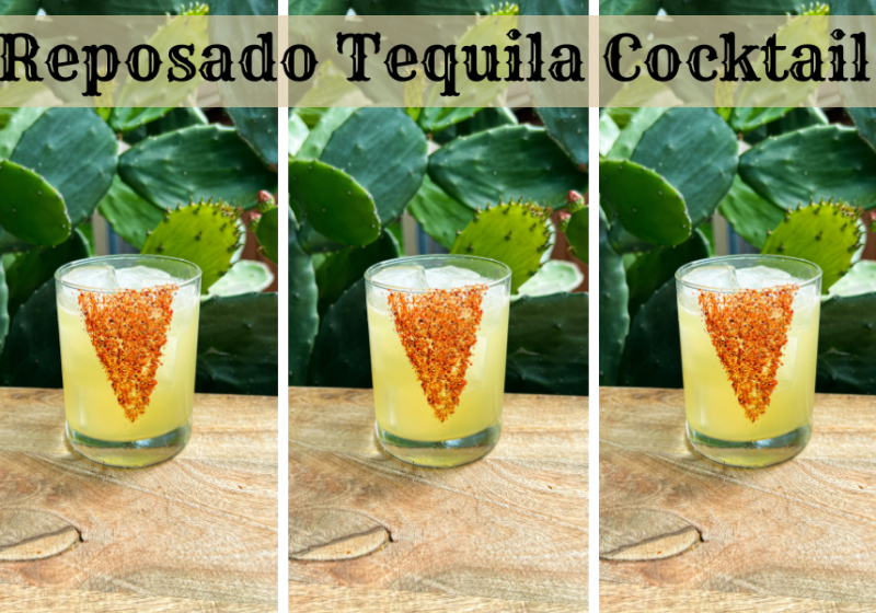 Reposado Tequila Cocktails: Easy Recipes for a Delicious Drink!