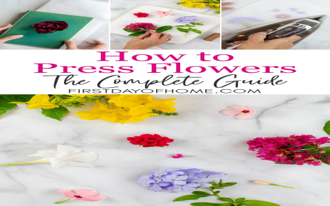 Animal Print for Beginners: A Simple Guide to Get Started (Must-Have Pieces)