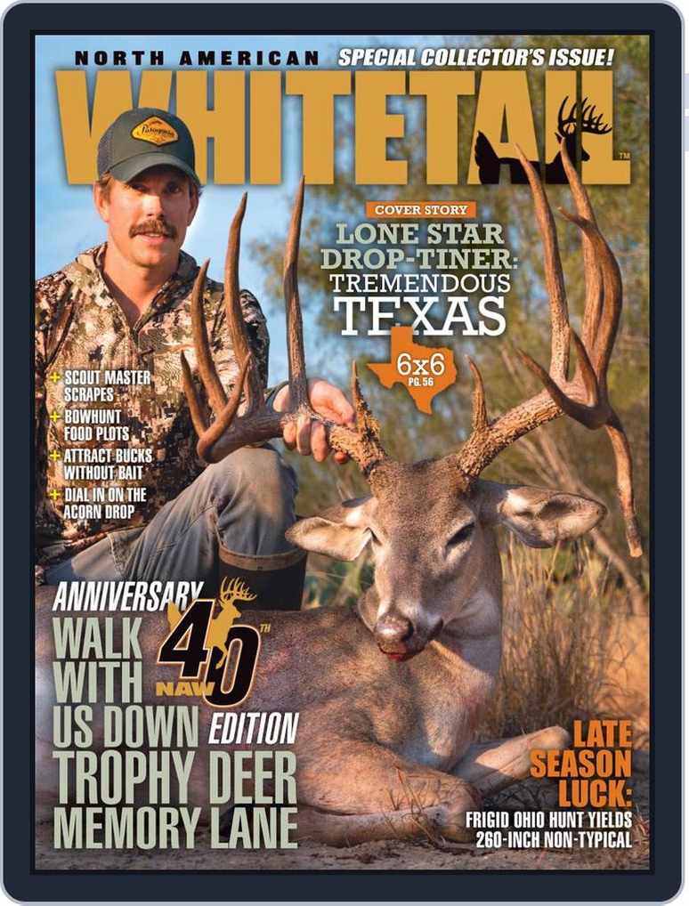 Deer Lane Secrets Revealed! (Find Out What Makes This Place Special)