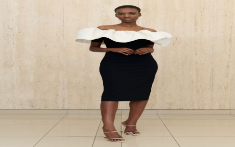 Greta Constantine Sale: Find the Best Deals on Dresses & Gowns here.