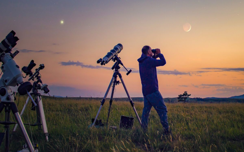 The Ultimate Guide to 250 mm: Everything You Need to Know.
