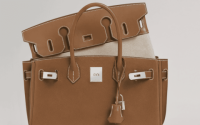 Hermes Birkin Class Action Lawsuit Filed: Heres Why Customers Are Suing the Luxury Brand