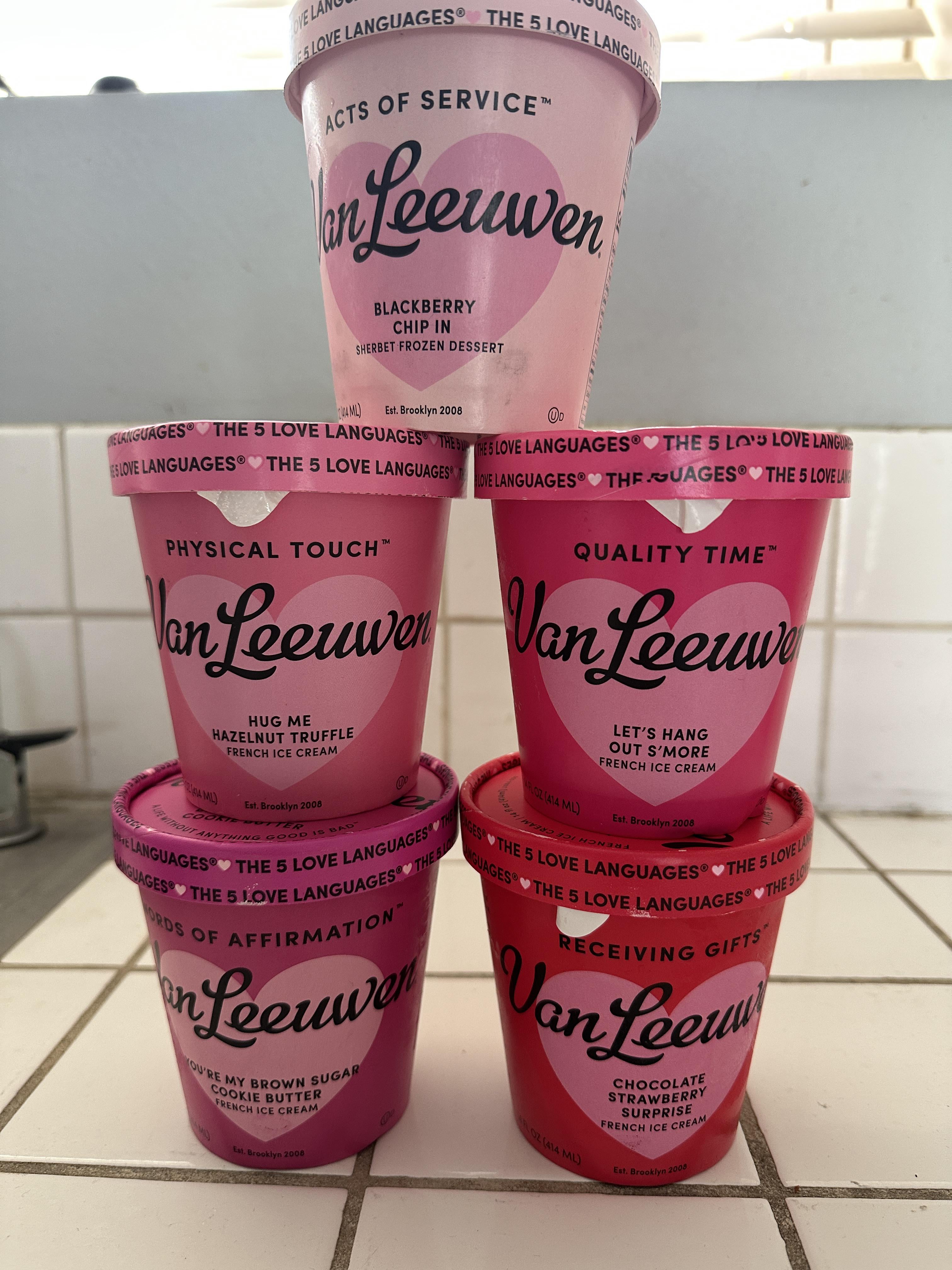 Love Choco Chips Ice Cream? Try These Amazing Flavors!