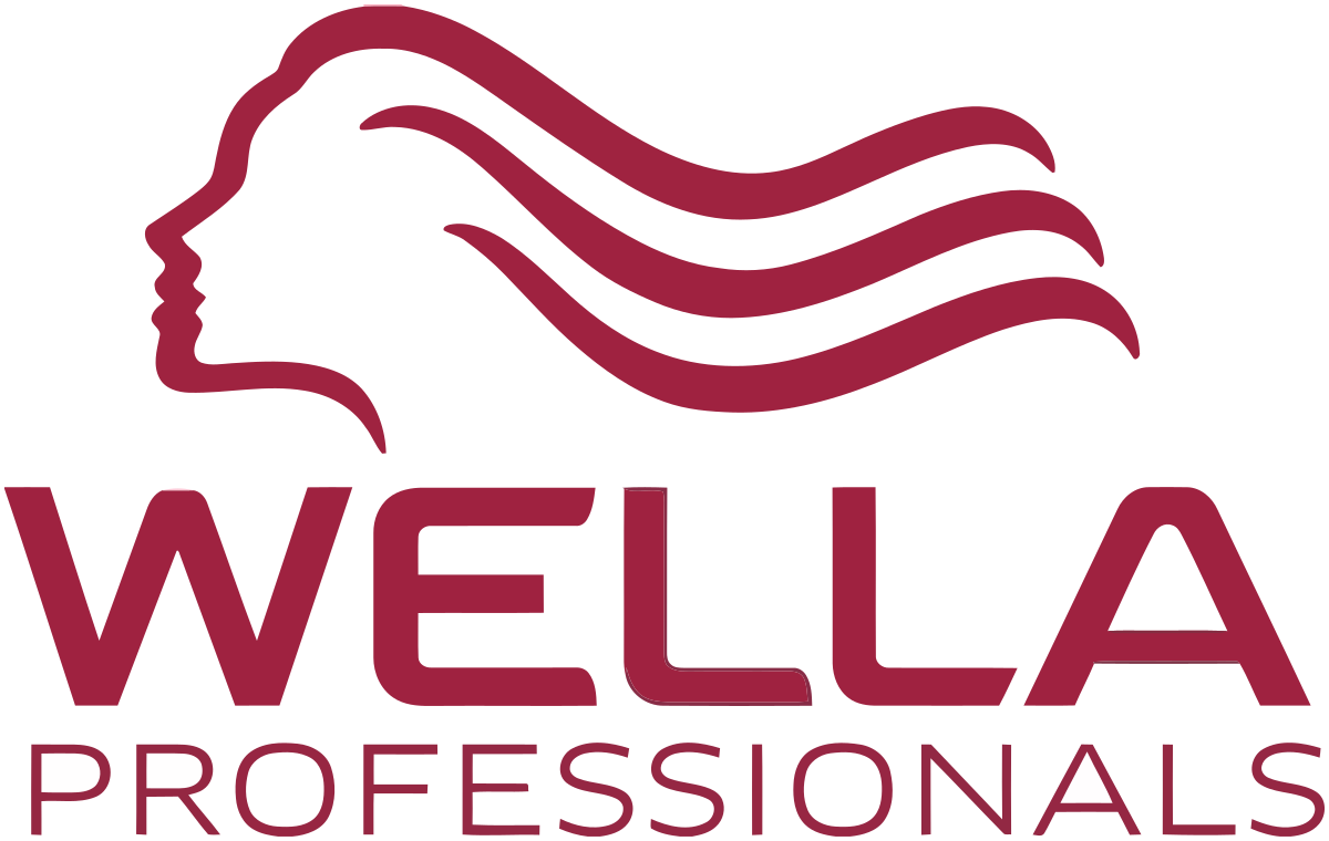 Who owns Wella Professionals these days? Discover the investment group currently managing the brand.