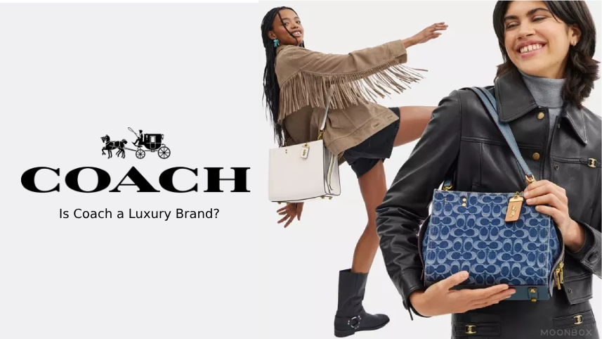 Is Coach a Luxury Brand? (We Break Down the Prices & Quality)