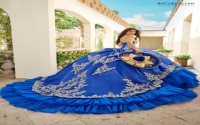 Best Gown Runway: Discover Designer Dresses,Get Yours!