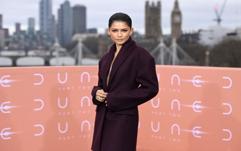 Zendaya Topless Controversy: Separating Fact from Fiction