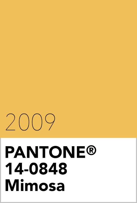 Pantones 2009 Color Choice: Get the Scoop on the Mimosa Trend.