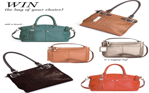 Ellen Tracy Purse Deals: Where to Buy & Save on Your Dream Bag.