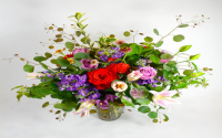 Find Beautiful Blooms at Roosevelt Island Flower Market (Easy Shopping Guide for All Budgets)