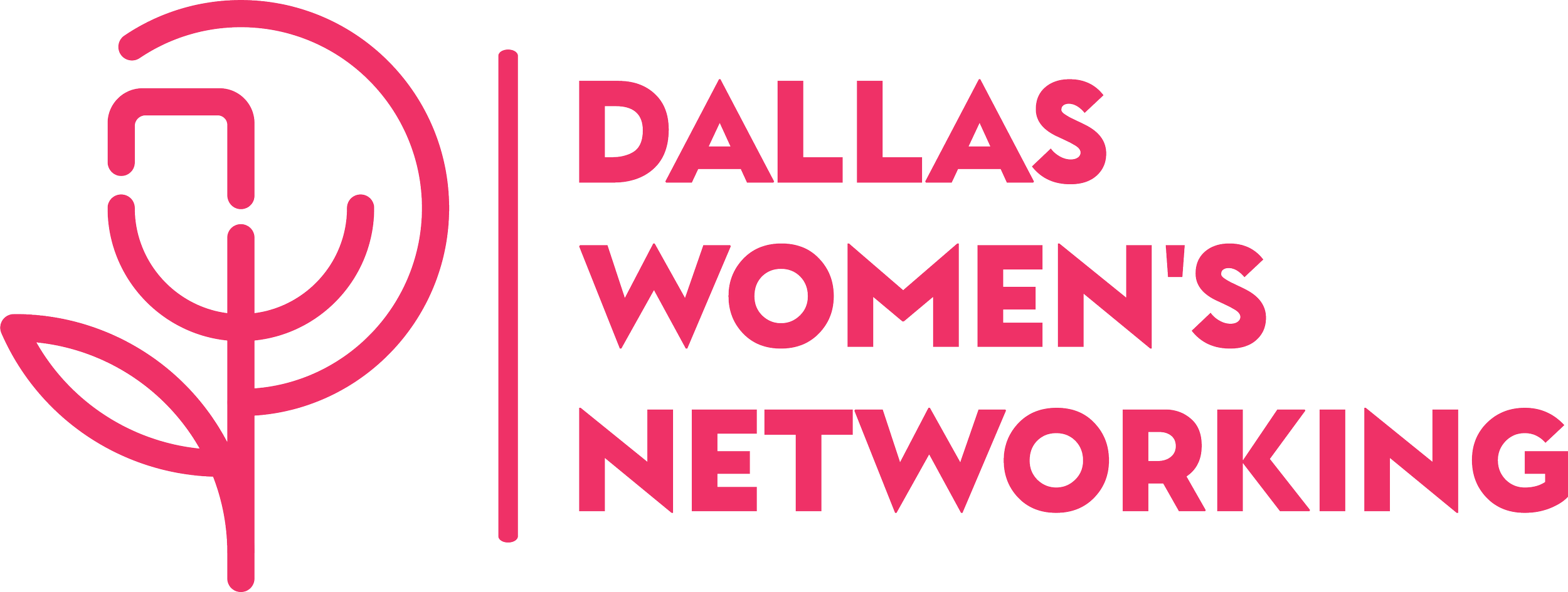 Dallas Women Entrepreneurs: Networking & Business Tips