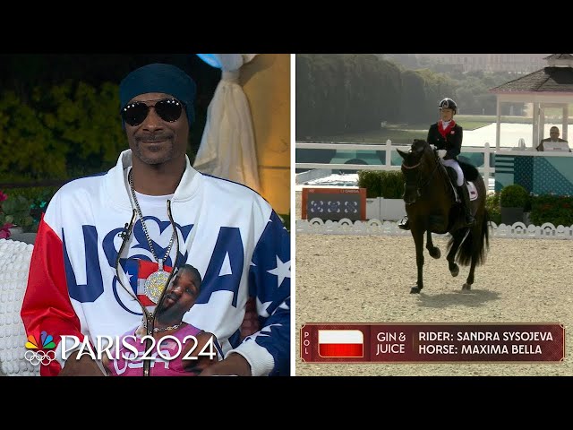All About Snoop Equestrian: The Ultimate Beginners Guide.
