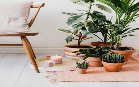 Looking for affordable Scandinavian brands? Here are great stylish choices that wont break your budget.