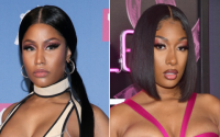 Looking everywhere for megan thee stallion nude stuff? Know the real situation today.