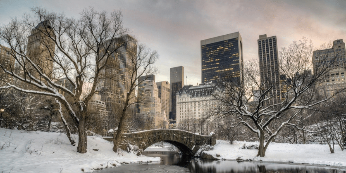 Curious about new york in winter images? View incredible shots showing the citys famous frosty charm.
