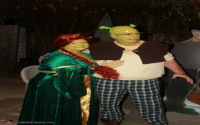 Fiona Shrek Costume: Easy DIY Ideas & Where to Buy (Best Looks)