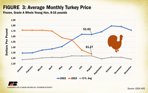 How Big Is Turkeys Textile Industry? Find Out the Exact Percentage Here!