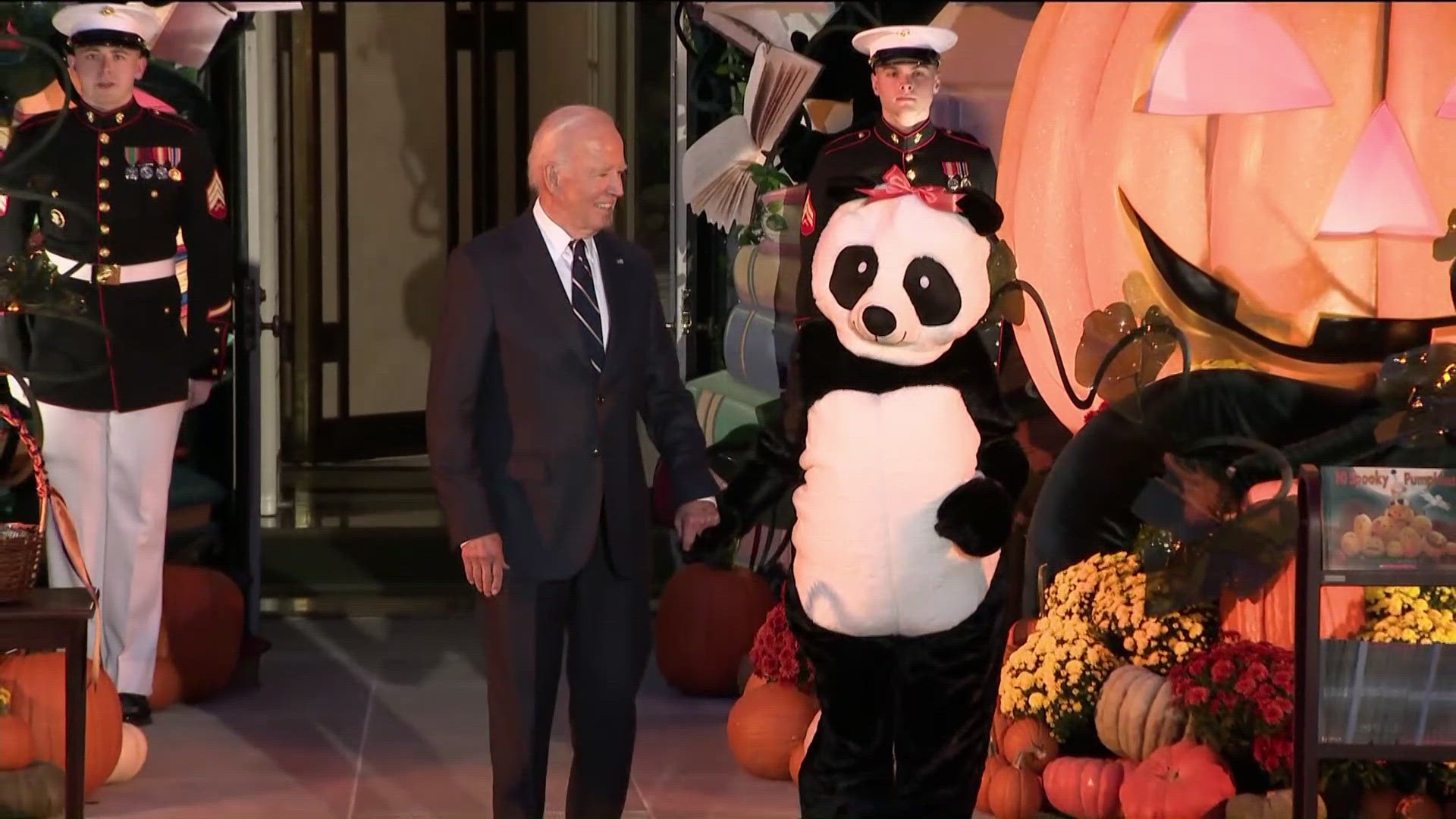 Panda Diplomacy: Jill Biden Panda Meaning Explained (Clear and Basic)