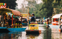Goose Mexico Adventure: Cost, Permits, and More Details