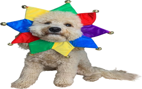 Cute Child Dog Costume Ideas: Dress Up Your Kid and Dog!
