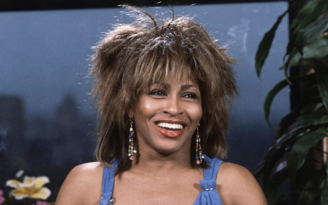 From Tina to Dolly: Famous People with Big Hair We Love